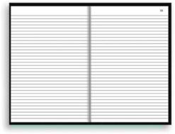 Livro Ata 100 fls Numeradas Rotermund