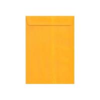 Envelope Ouro 18cm x 25cm Ipecol