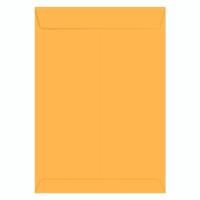 Envelope Ouro 32cm x 45cm Ipecol